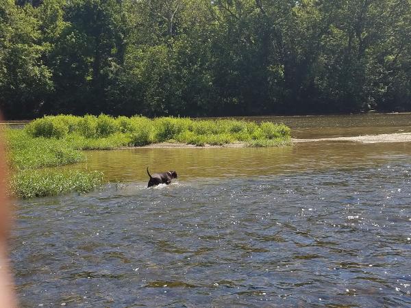 Oyster Mill Playhouse