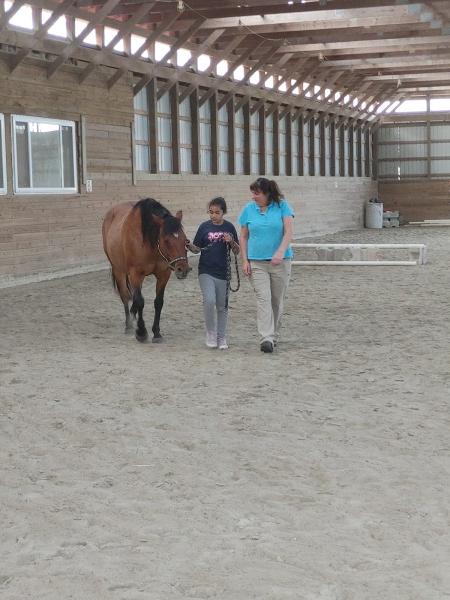 Holly Ridge Farm Equestrian Center