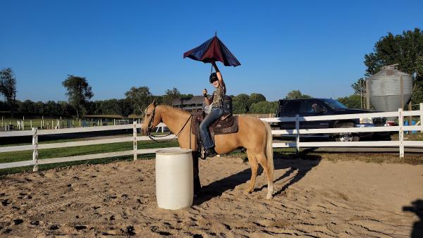 Faith Training Center Boarding Stables