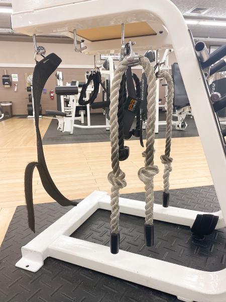 Whole Body Fitness