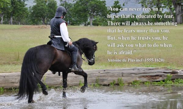 Hands On Horse Training