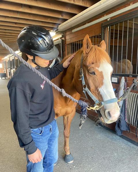Palmer River Equestrian Center
