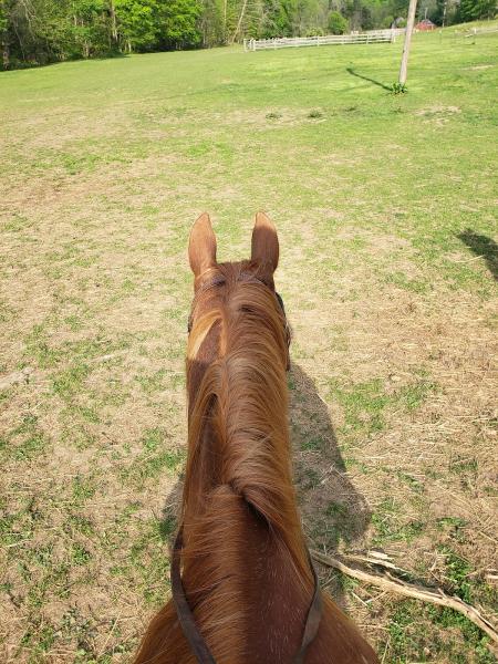 Havens Hideout Ranch