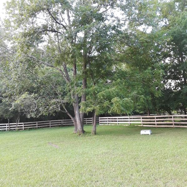 Dovetail Farm Horse Boarding