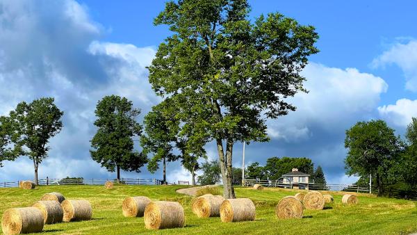 Marble Mountain Horse Estate
