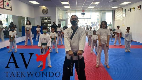 AV Taekwondo