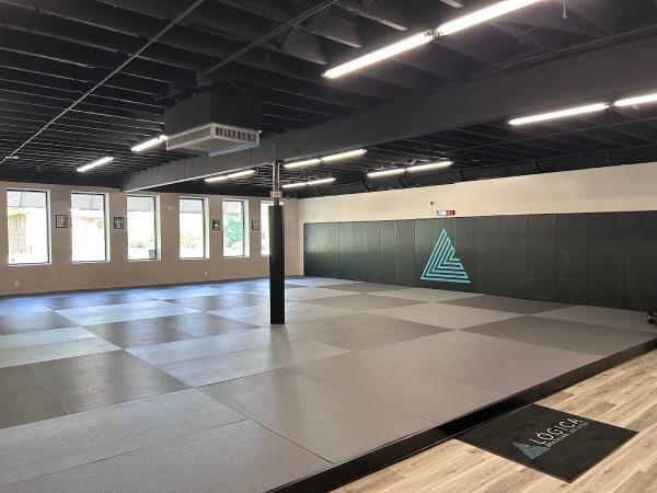 Lógica Brazilian Jiu-Jitsu