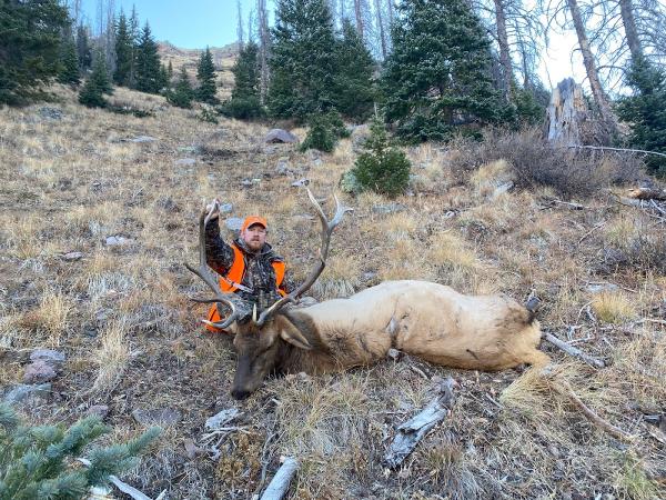 Weminuche Wilderness Outfitters