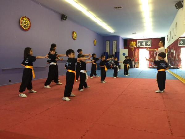 Shaolin Kung Fu International