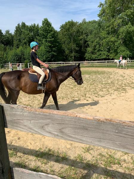 Hunter Brook Horse Farm Inc