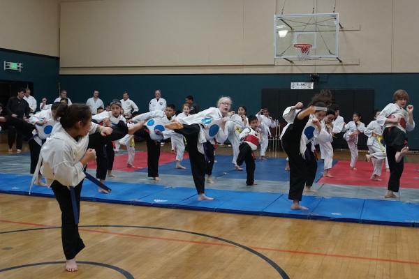 Ito's White Tiger Kempo Karate TAI CHI Chuan