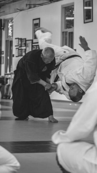Daito-Ryu Aikijujutsu