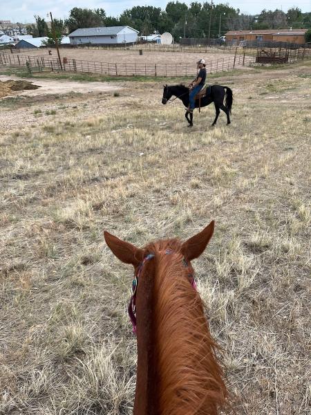 Saddle Up Stables