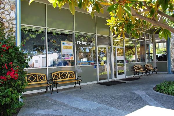 Flying Fish Swim School