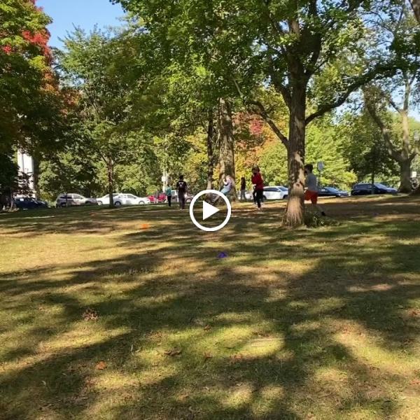 Ryer Martial Arts Academy