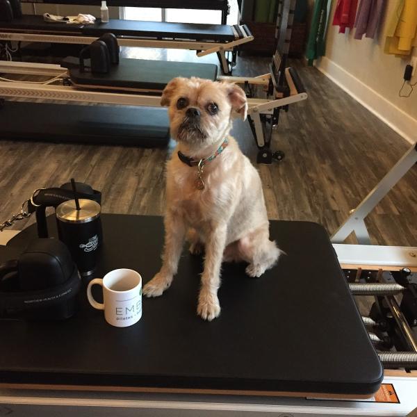 Embody Pilates & Wellness