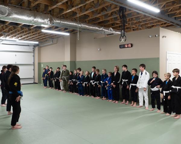 The Jiu Jitsu Institute