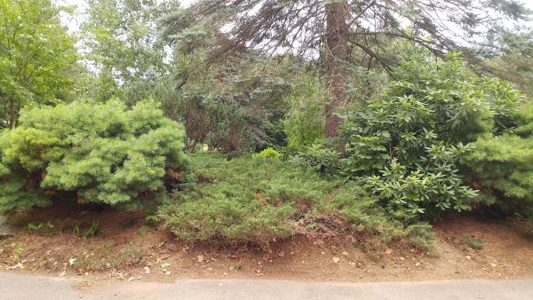 Jasper Valley Swim & Tennis