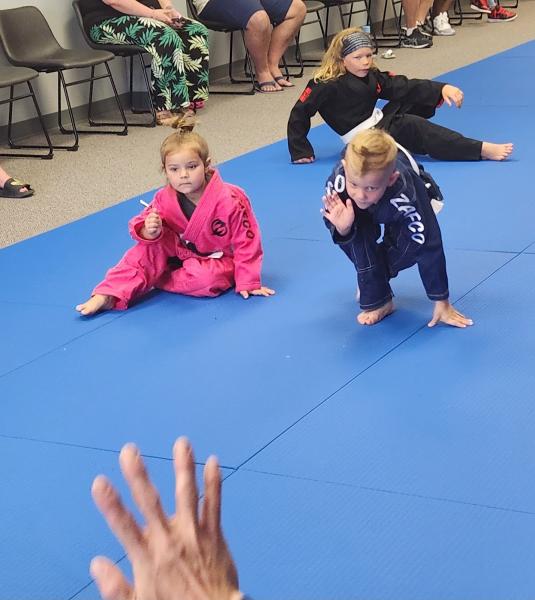 Red Fox Brazilian Jiu Jitsu