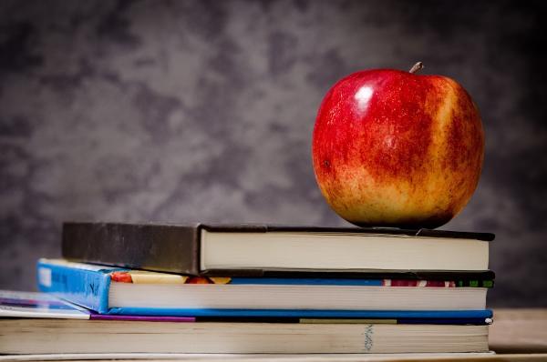 Wilkinson Tutoring