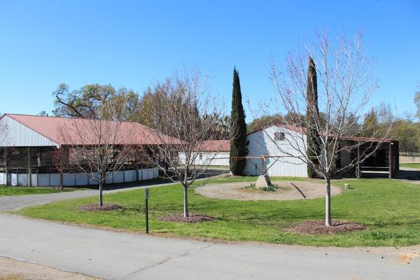 Lakeside Equestrian Center