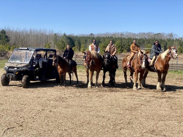 Majestic Journeys LLC