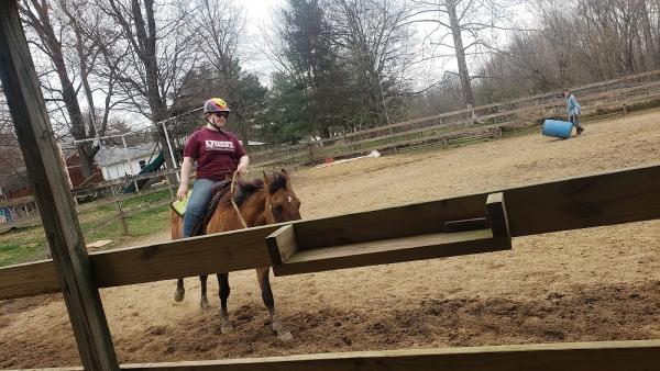 Off the Fence Farm Equine Facility