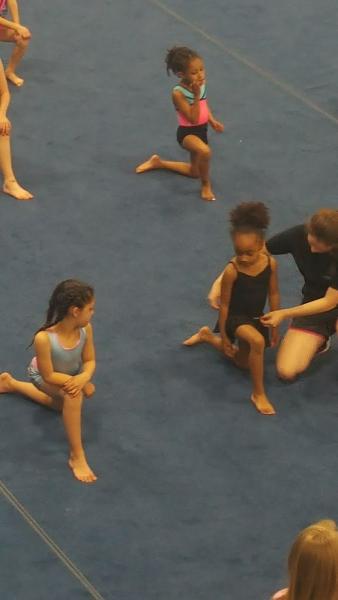 The Gymnastics Company (Tgc)