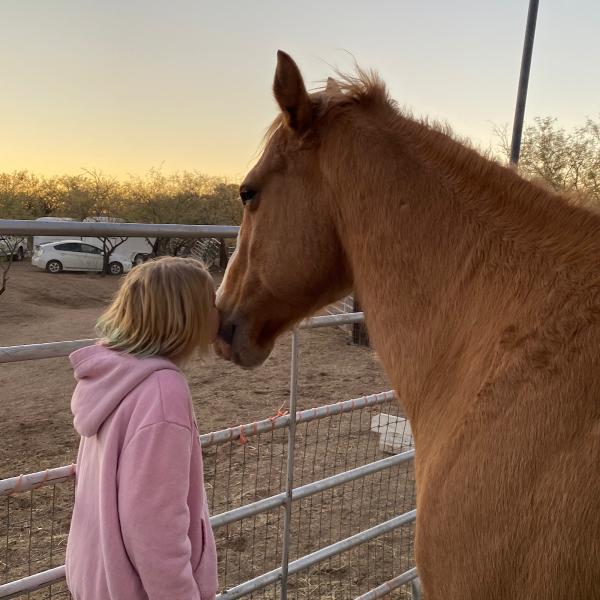 Heart of the Horse Ranch