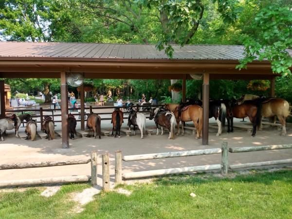 Hooley Horse and Pony Rides
