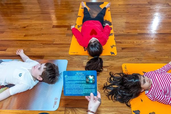 Yoga Way of Living
