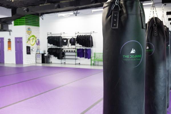 The Dojang Martial Arts & Fitness