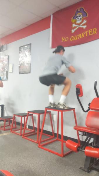 Pro Fitness 24-Elite Fitness