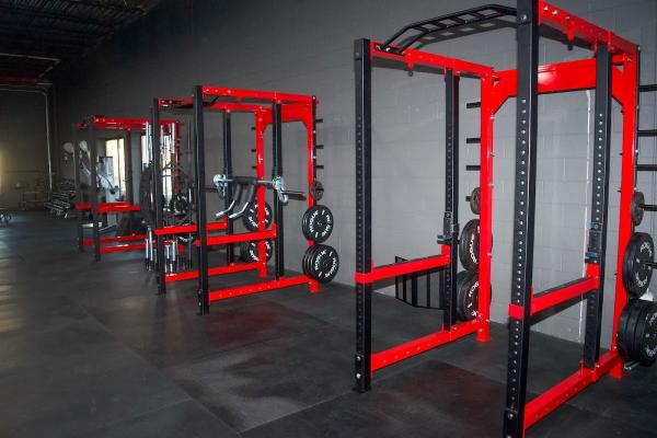 Volition Performance and Physical Therapy