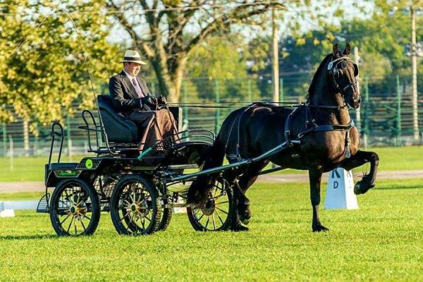 Mountain View Training Center