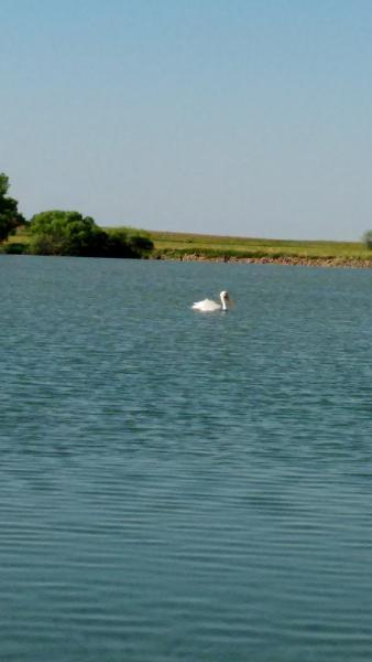 Cloudview Stables LLC