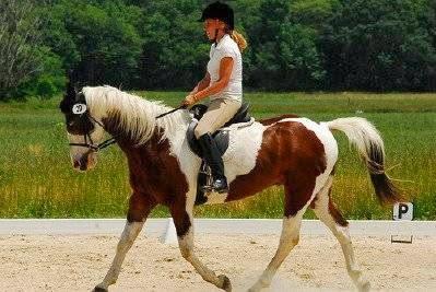 Secret Pride Stables LLC