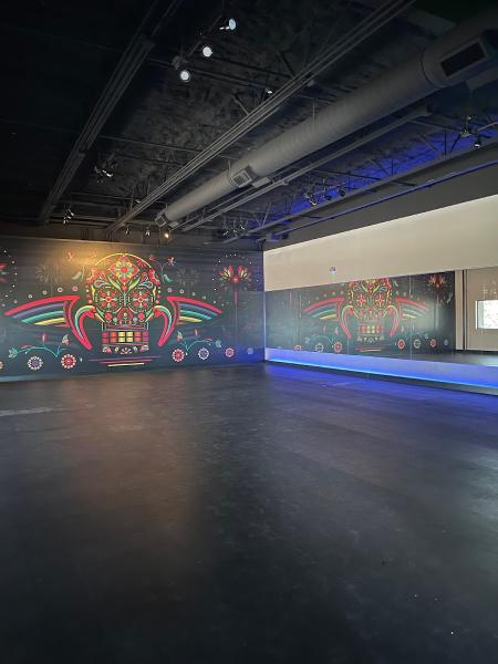 Black Swan Yoga San Antonio