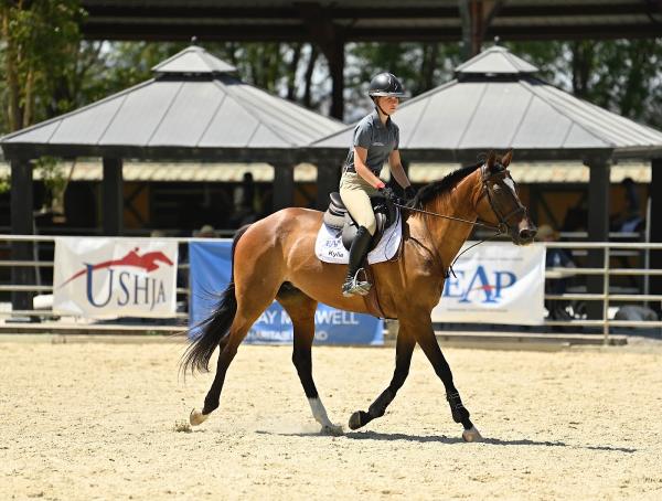 Folly Farm Hunter/Jumpers/Ponies