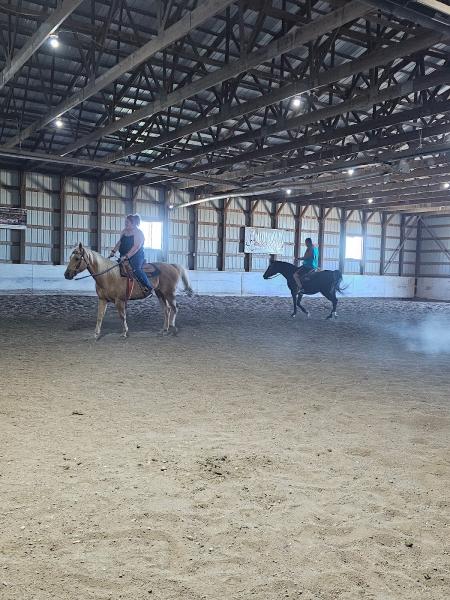 Henderson Performance Horses