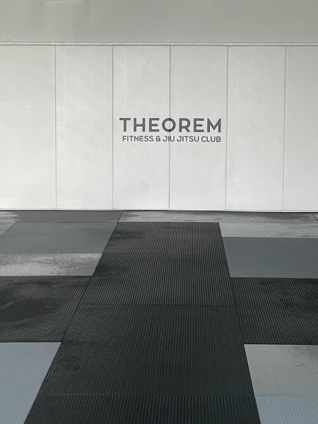 Theorem Fitness & Jiu Jitsu Club