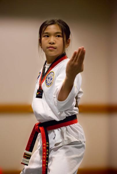 Chung's Taekwondo and Martial Arts USA