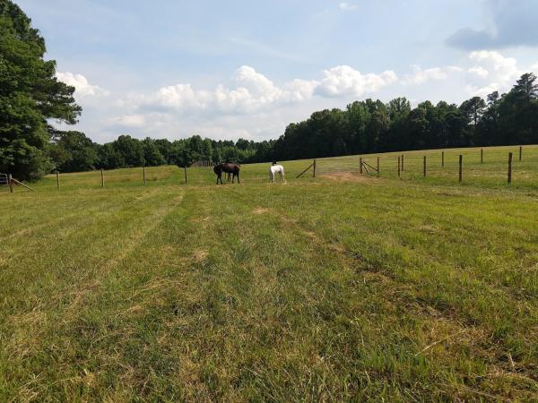 Durham Equestrian Club