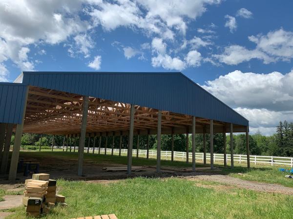 Avalon Management Riding Lessons and Boarding
