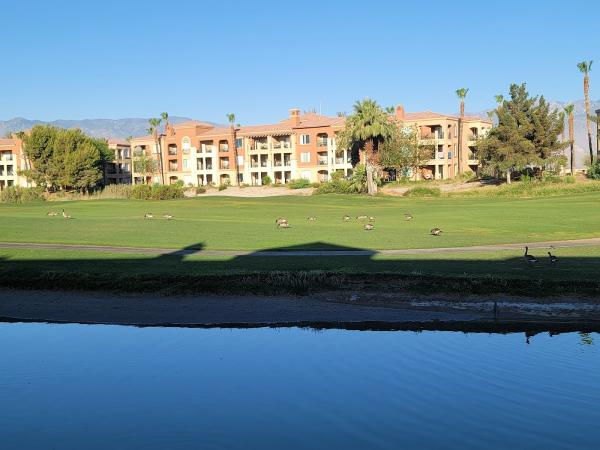 Marriott's Shadow Ridge Golf Club