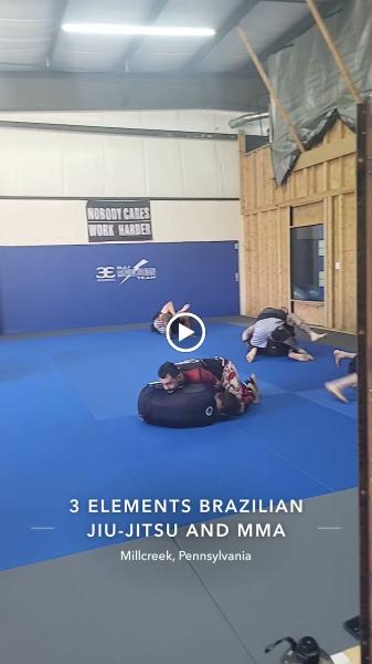 3 Elements BJJ and MMA
