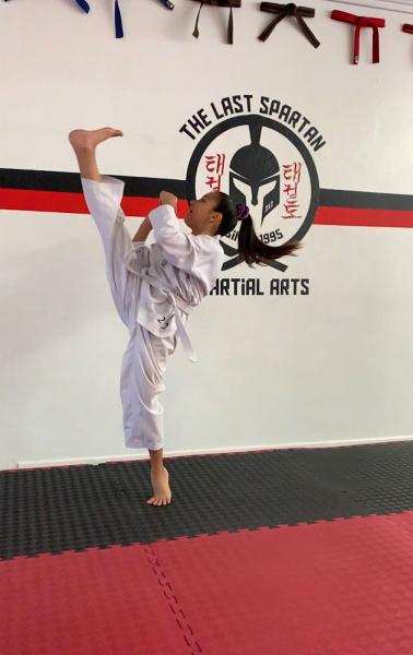 The Last Spartan Martial Arts