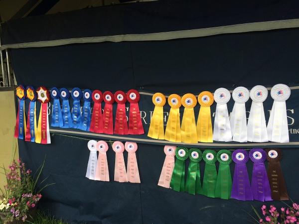 Bleecker Street Stables