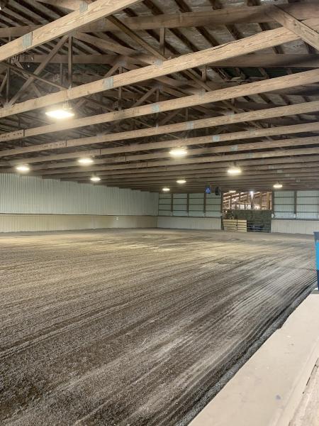 Posh Performance Horses