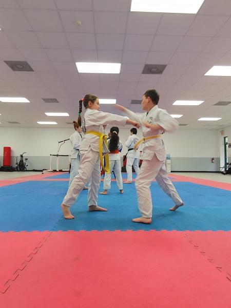 Choson Academy OF Full Circle Martial Arts